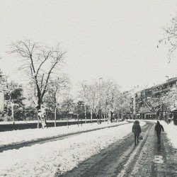 White winter
