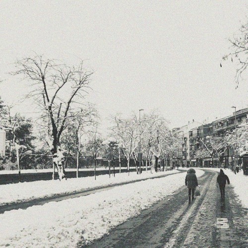 White winter