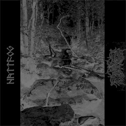 Nattfog / Nekrokrist SS