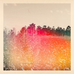 Amaranth