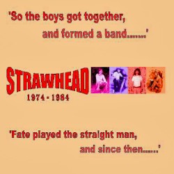 So the Boys Got Together and Formed a Band...