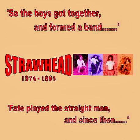 So the Boys Got Together and Formed a Band...