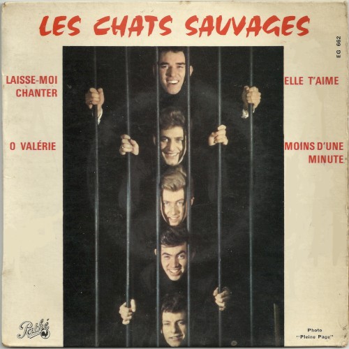 Laisse-moi chanter