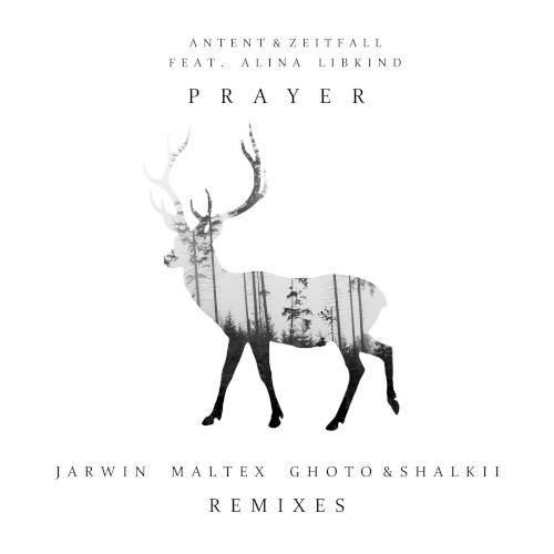 Prayer (Maltex remix)