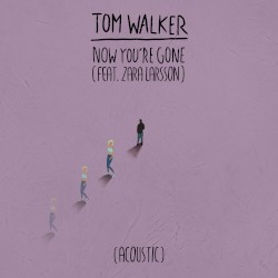 Now You're Gone (acoustic)
