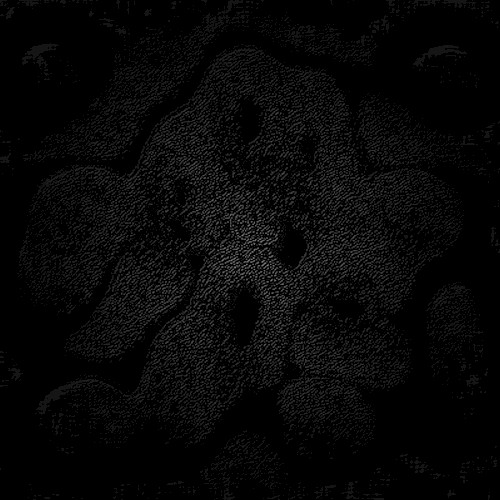 Soisong Broadcast #11