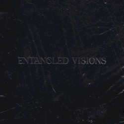Entangled Visions