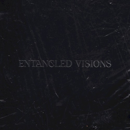 Entangled Visions