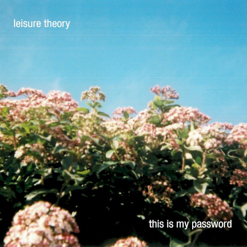 This Is My Password