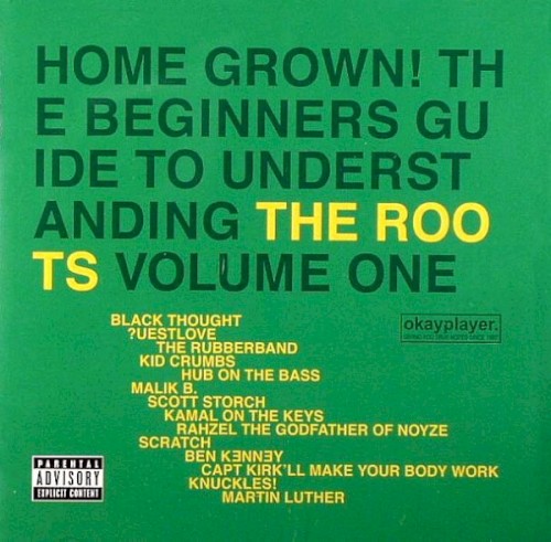 Home Grown! The Beginner's Guide to Understanding The Roots, Volume 1