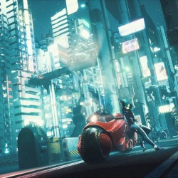 Hyper Dimension
