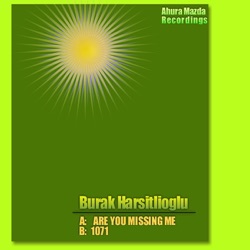 Are You Missing Me / 1071