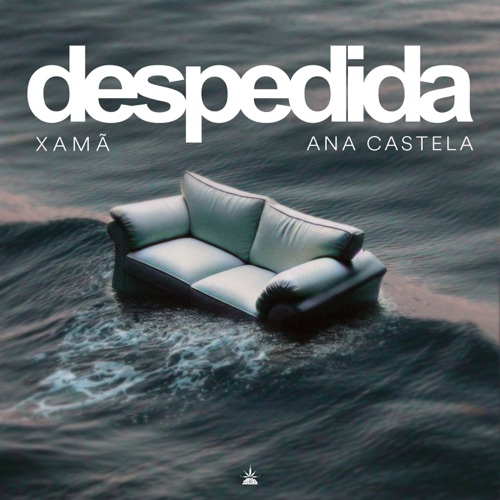 Despedida