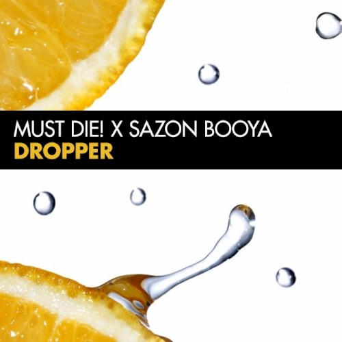 Dropper