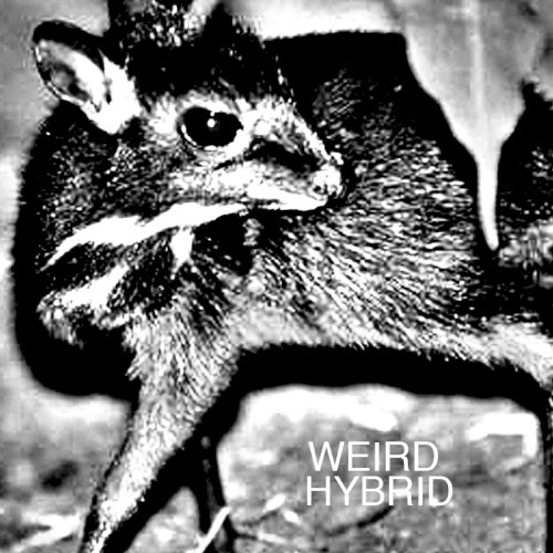 Weird Hybrid