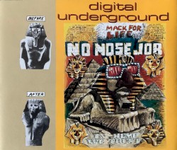 No Nose Job