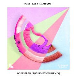 Wide Open (RØGUENETHVN remix)