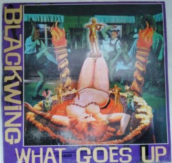What Goes Up / Doin’ It