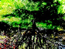Possible Worlds