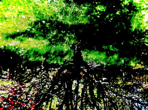 Possible Worlds
