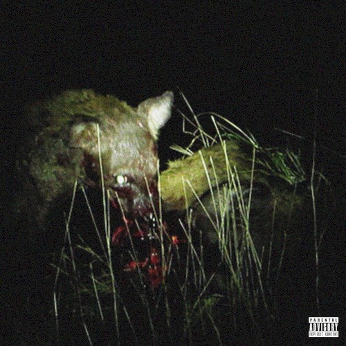 Animals Eating Other Animals