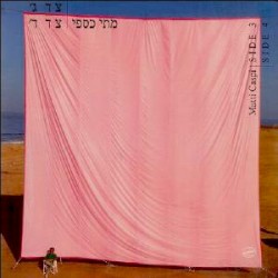 צד ג' צד ד'