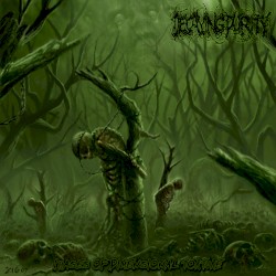 Phases of Dimensional Torture