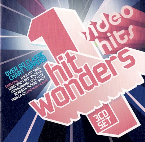 Video Hits - One Hit Wonders