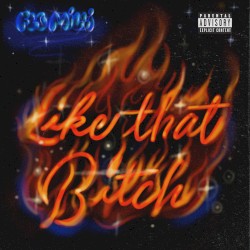 Like That Bitch