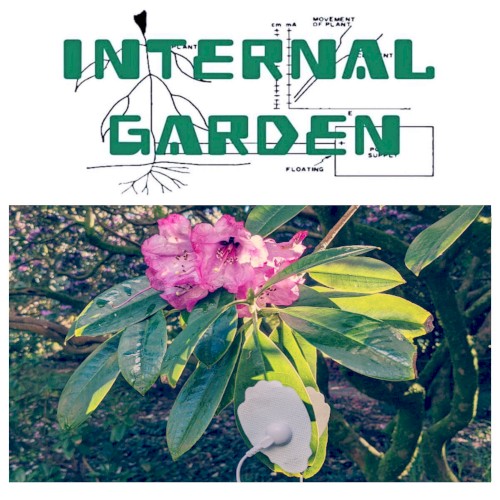 Internal Garden: Research Collection Ten