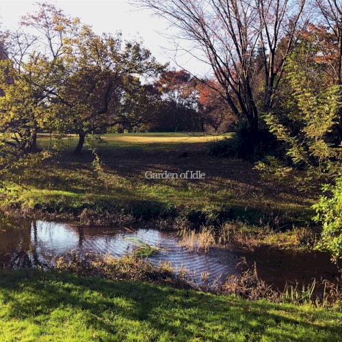 無用の庭園 (Garden of Idle)