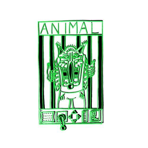 Animal
