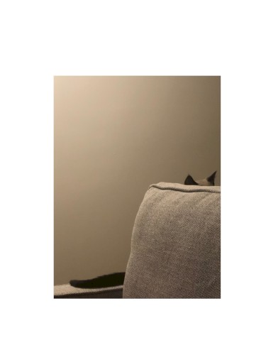 Neko 2021