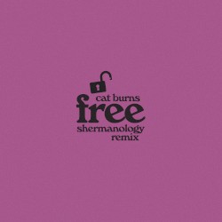 Free (Shermanology remix)