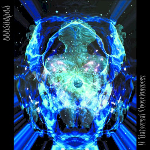 A Universal Consciousness