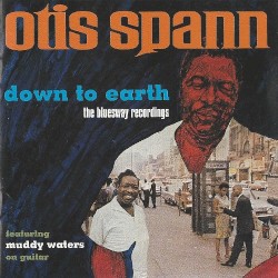 Down to Earth (The Bluesway Recordings)