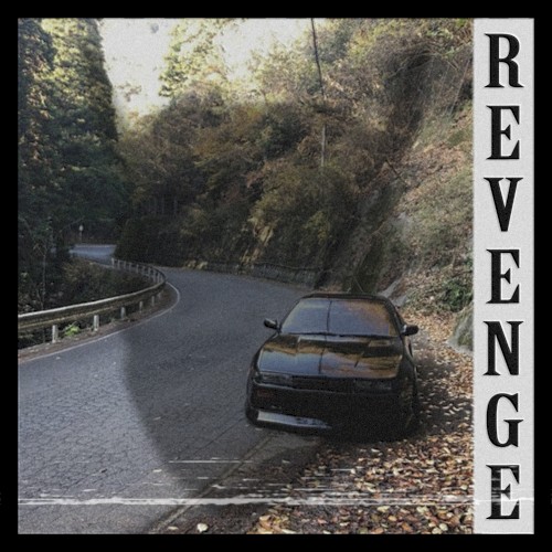 Revenge