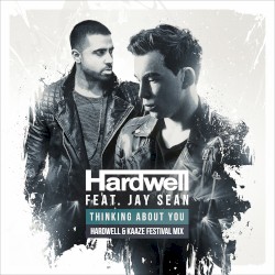 Thinking About You (Hardwell & Kaaze festival mix)
