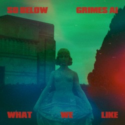 What We Like