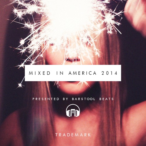 Mixed in America 2014