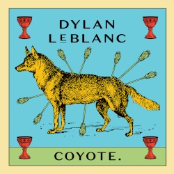 Coyote