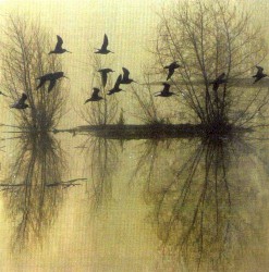 …Majestic Thou in Ruin