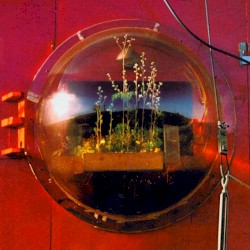 Home Of The Future