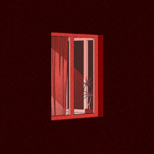 Cat 13