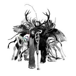 II