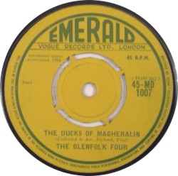 The Ducks of Magheralin