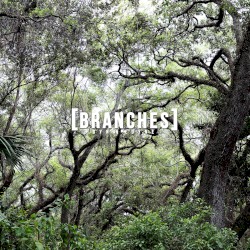 Branches