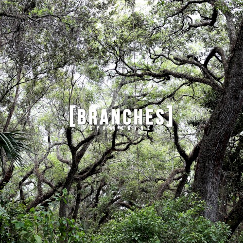 Branches