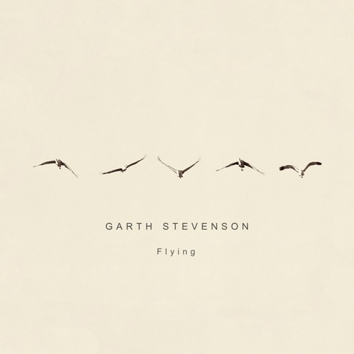 Flying