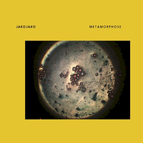 Metamorphose